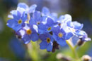 Slideshows