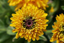 Slideshow 2